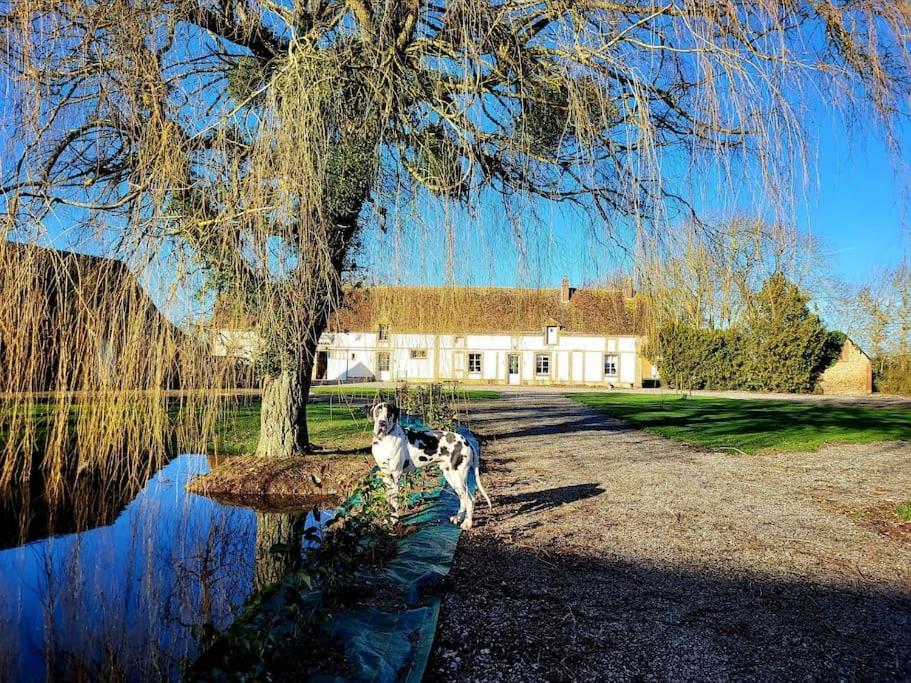 Gite Au Haras D'Agathe Et Ses Princes Les Barils Экстерьер фото